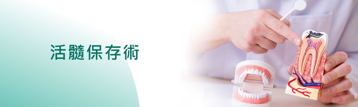 活髓保存術 活髓保存術